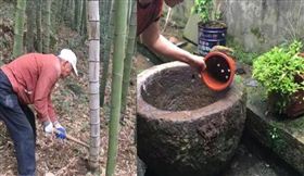 无蚊村示范点：全村齐灭蚊|防治蚊子|灭蚊效果|广州蚊子防治