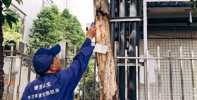 广州白蚁防治