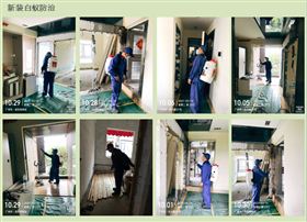 广州白蚁预防公司