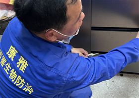 广州灭蟑公司