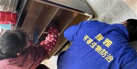 广州灭蟑公司