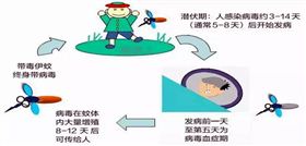 广州灭蚊公司