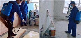 广州白蚁防治服务