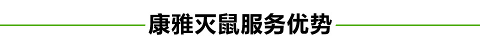灭鼠服务优势
