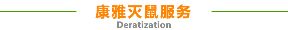 康雅灭鼠服务