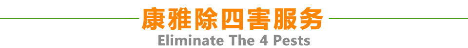 康雅除四害服务
