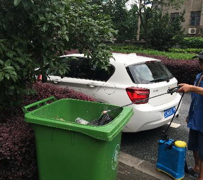 老鼠繁殖期，防治需及时,灭老鼠|防老鼠|老鼠防治