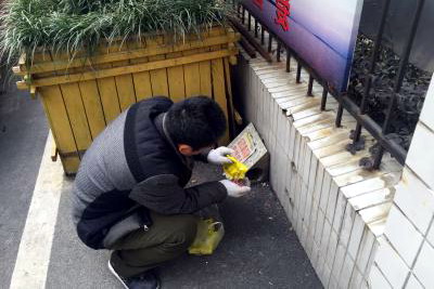 老鼠繁殖期，防治需及时,灭老鼠|防老鼠|老鼠防治