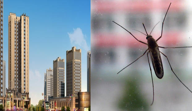 灭蚊|蚊子防治|灭蚊措施|高楼灭蚊