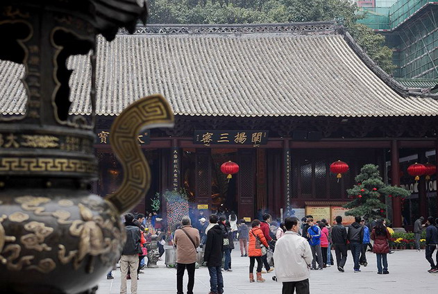  大佛寺除虫灭鼠合同续签|除虫灭鼠|杀虫公司