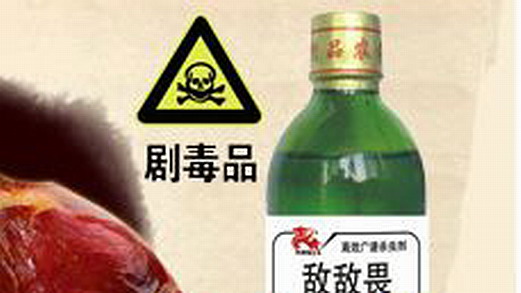 简单灭跳蚤，猪却遭殃|灭跳蚤|杀虫公司|除四害