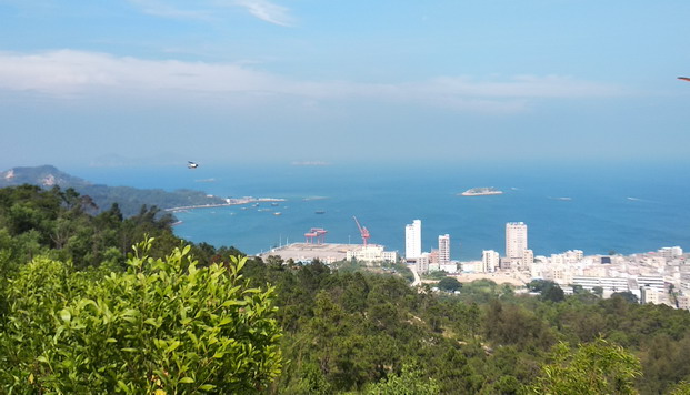 康雅公司组织海滩旅游