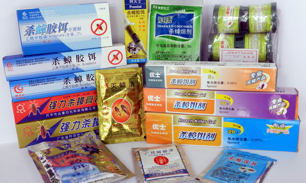 灭蟑误区：蟑螂粉引来更多蟑螂
