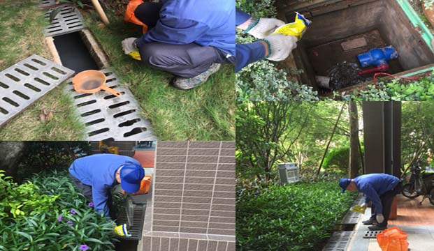 龙湖别墅预防登革热，灭蚊清理积水|灭蚊|蚊子防治|广州灭蚊