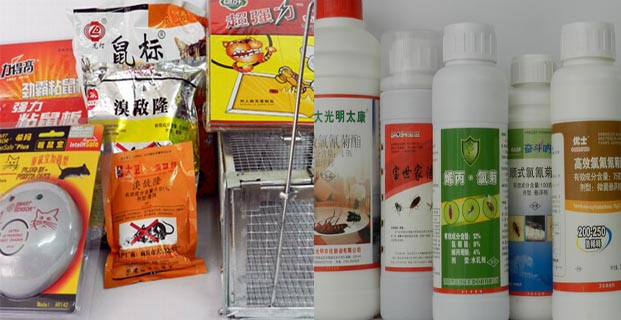 广州地区适用的老鼠药|灭鼠|杀虫公司|老鼠药|除四害