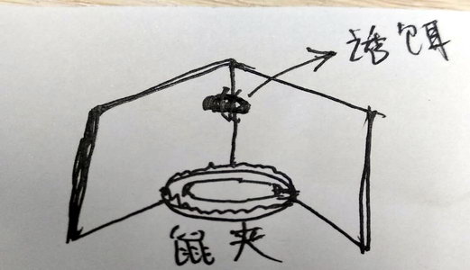 鼠夹的妙用|灭鼠|康雅杀虫|广州灭鼠