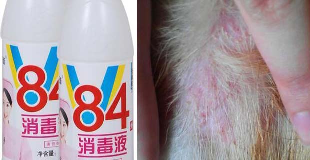 84消毒液能漂泊宠物毛发？|康雅消毒杀虫|广州消毒