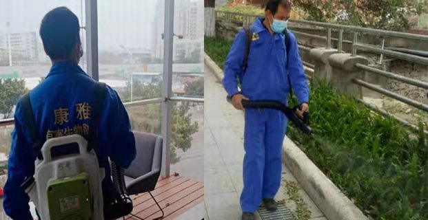 广州杀虫