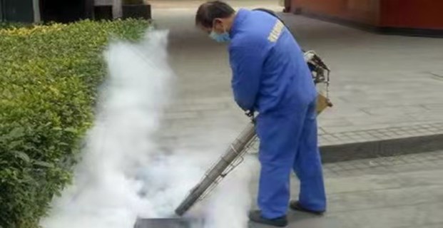 广州杀虫公司