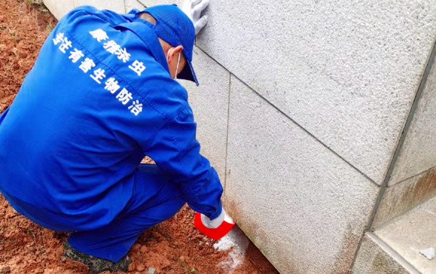 广州白蚁预防公司