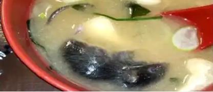 广州除虫灭鼠公司