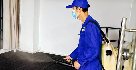 广州消毒杀虫服务