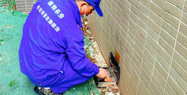 广州灭鼠公司 广州灭鼠公司