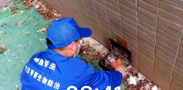 广州灭鼠公司 广州灭鼠公司