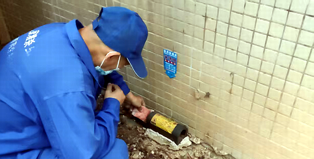 广州灭老鼠公司