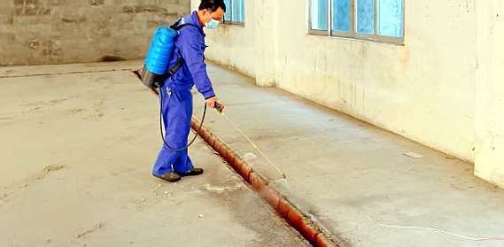 广州白蚁预防服务 广州白蚁预防服务