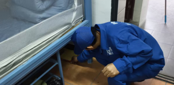 广州灭蟑螂公司