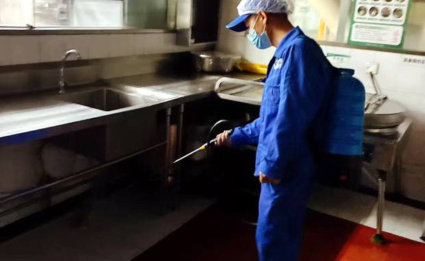 广州灭蟑螂服务