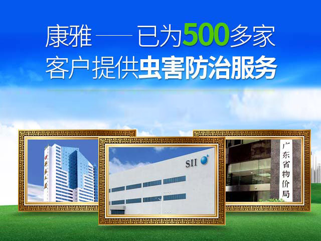 康雅消毒杀虫清洁服务