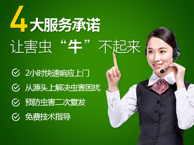 康雅消毒杀虫清洁服务